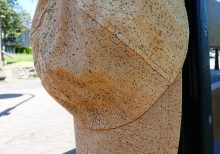 Cork cap, natural pattern